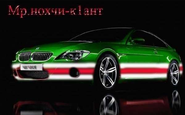 Шальной Волчонок