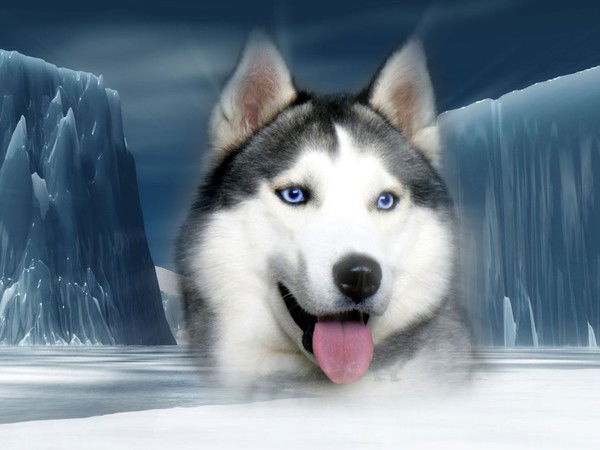 Александр М