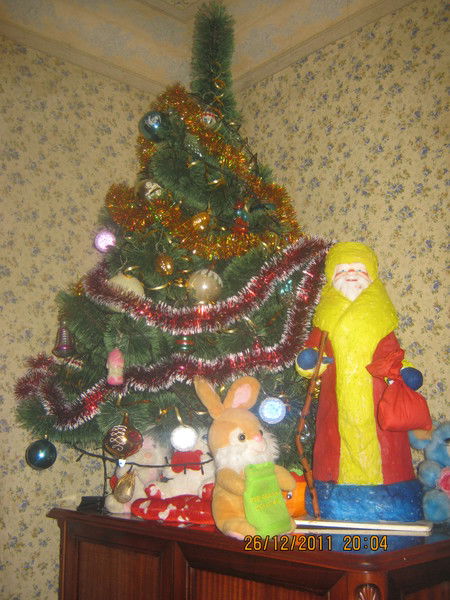 Карина Нечепоренко