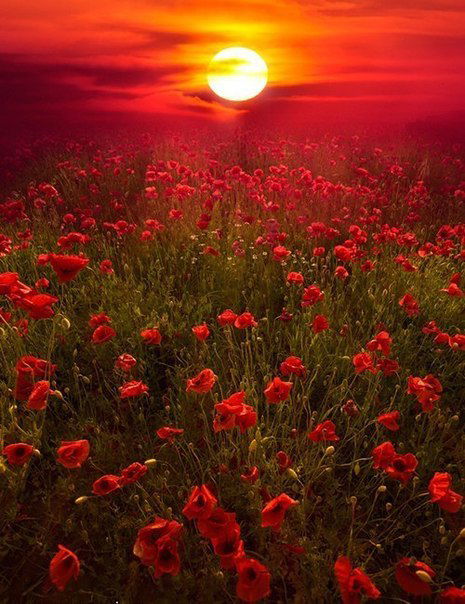 Наталия Загребельная