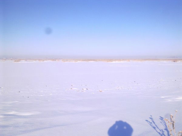 Бота Онбаева