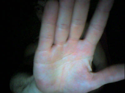 Александр Шалдин