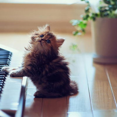 Олечка Лощинина