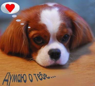 Мереке Адиетов