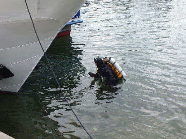 Серега Хаустов