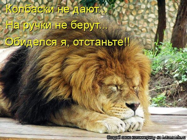 Андрей Романов