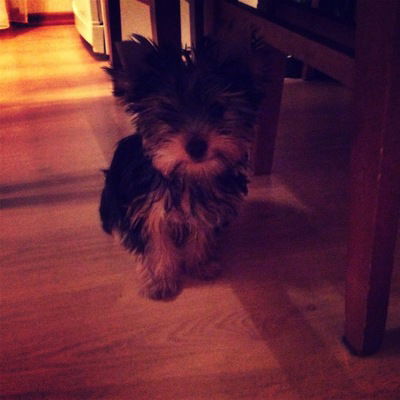 Екатерина Исикова