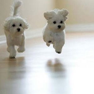 Олеся Исламова