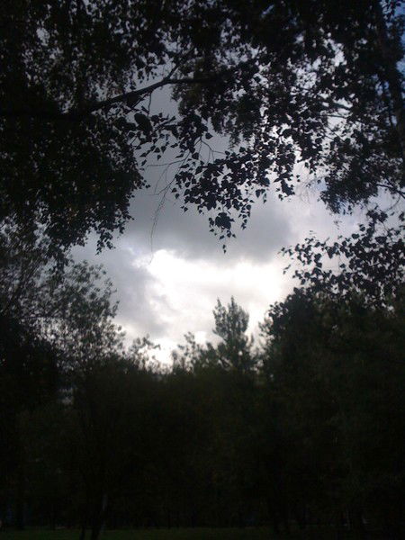 Сергей Супрядкин