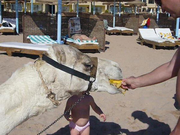 Лев Аграновский