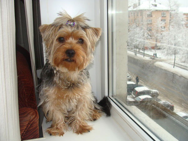 Владимир Сальников