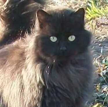 Жанна Вершинина