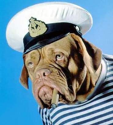 Виталий Смеян