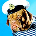 Виталий Смеян