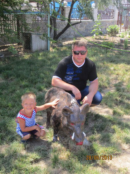 Юрий Коломоец