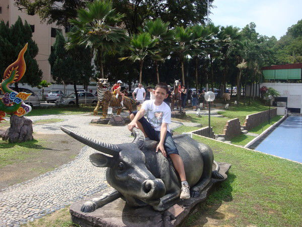 Эльдар Шайхутдинов