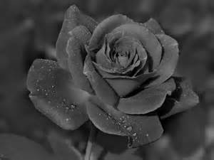 Графиня Кукушкина