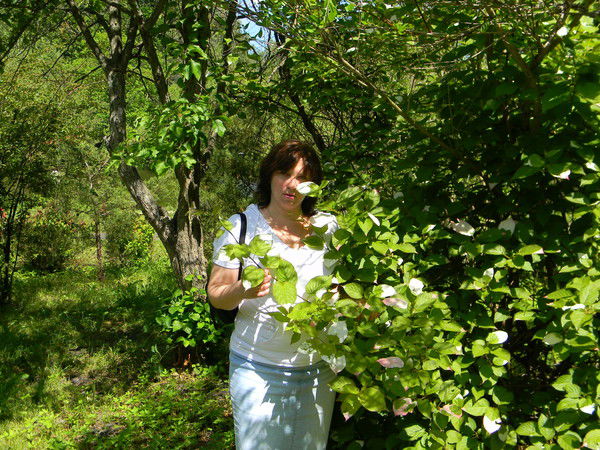 Елена Недосекина