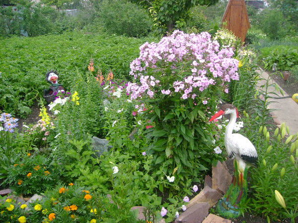 Людмила Матиевская