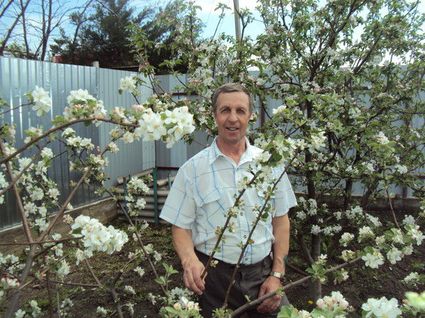 Павел Шипицын