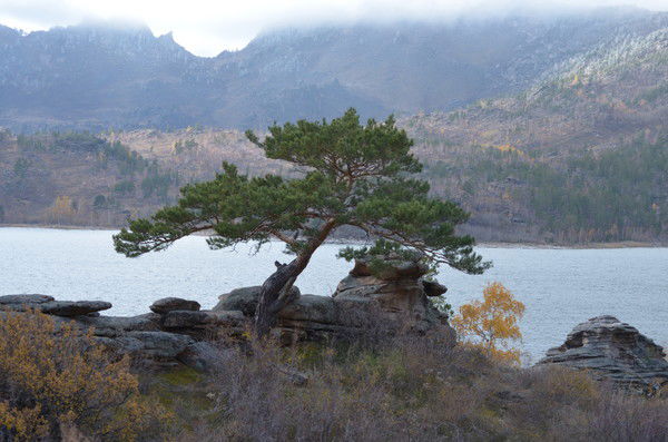 Алексей Чмых