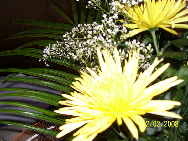 Татьяна Клопова