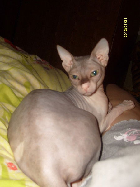 Вероника Андреевна