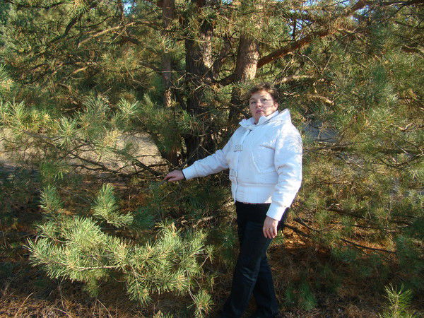 Любовь Тронь