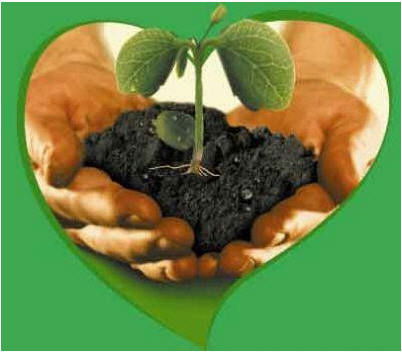 Тоо Церера-Агро Тоо Церера-Агро