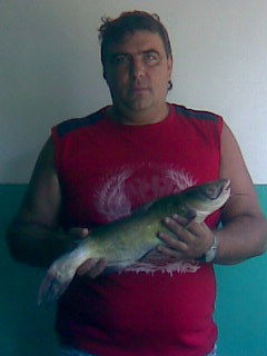 Александр Олендра