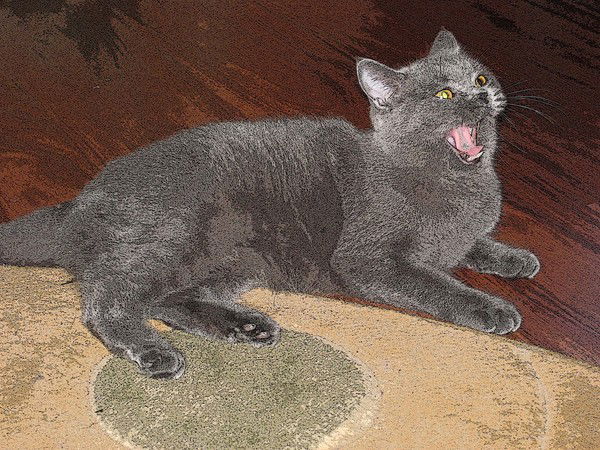 Неизвестно Неизвестно