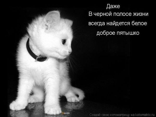 Ирина Янушкевич