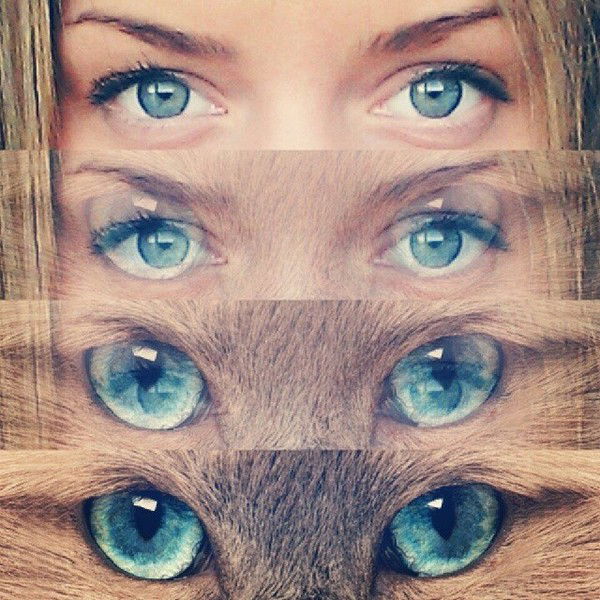 Юляша Бричкуте