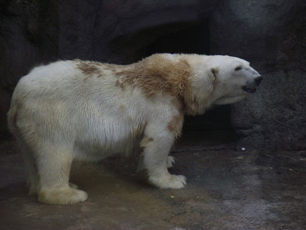 Твое Увлечение