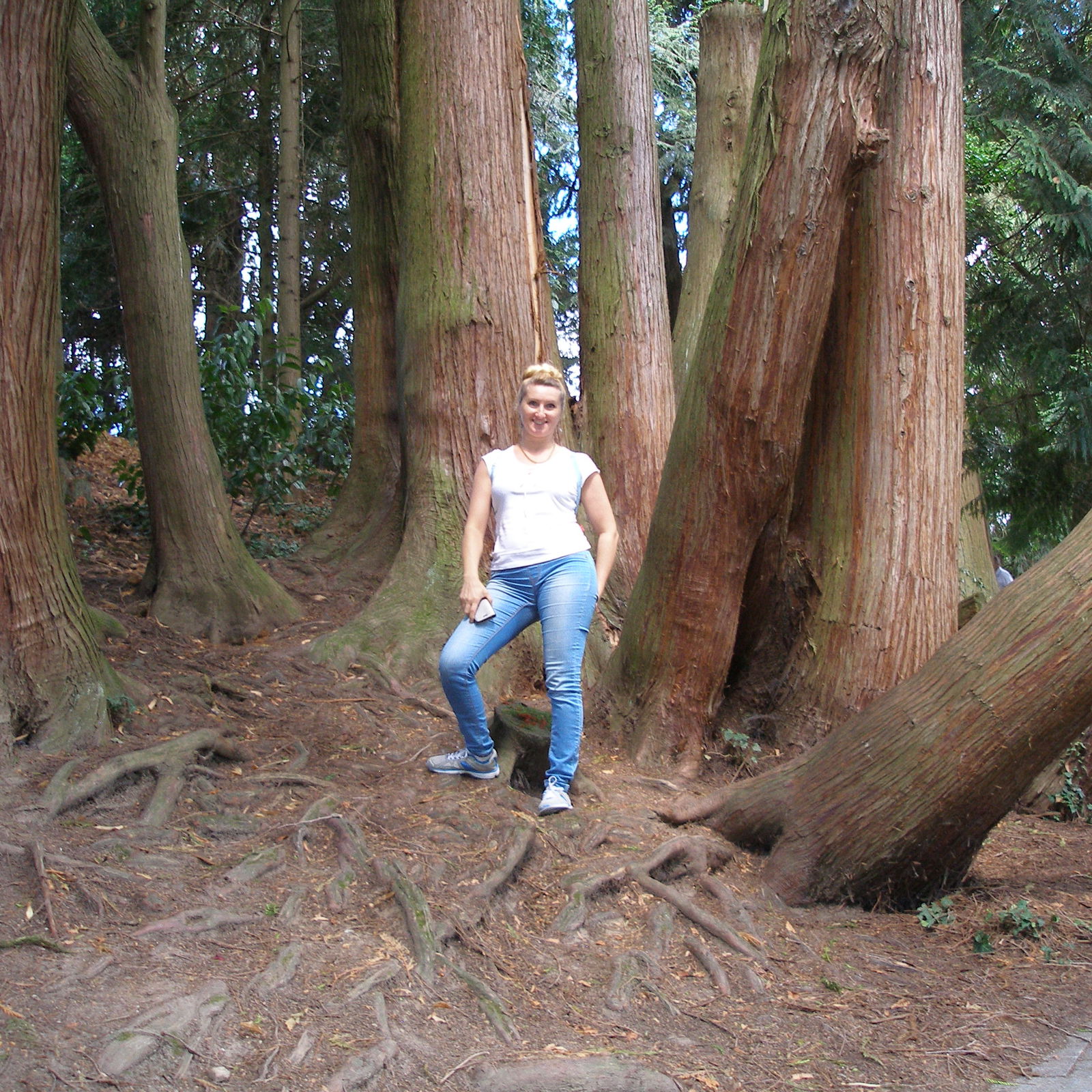 Елена Чиркина /чуприна