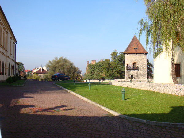 Екатерина Котова