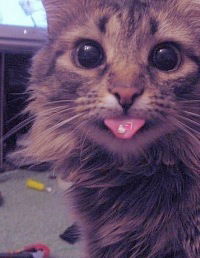 Ирина Ефименкова