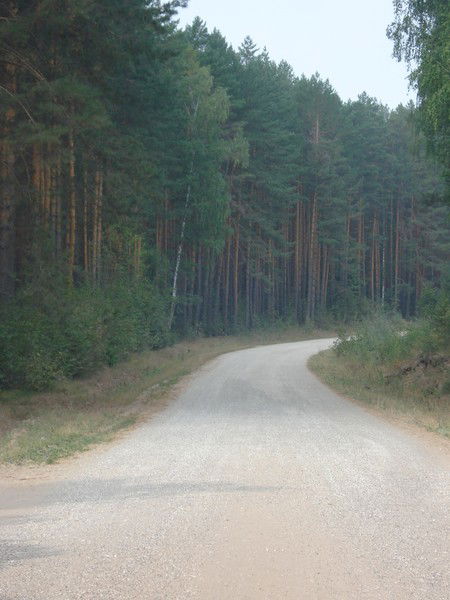 Наталья Родная