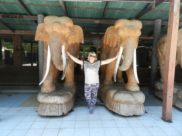 Мария Соловьева