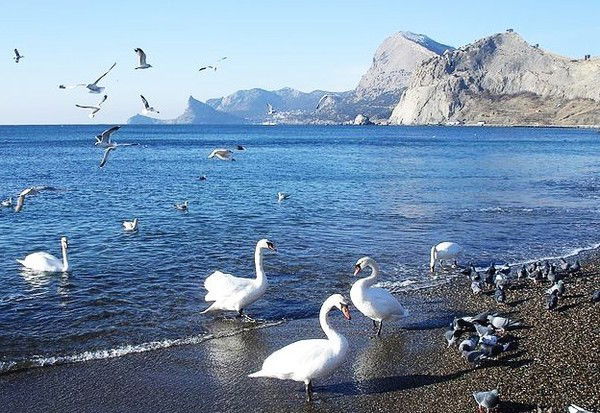 Галым Нуритдинов