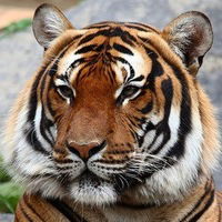 Даниил Бронников