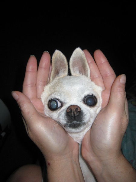 Наталия Егорова