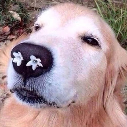 Елена Бухгалтер