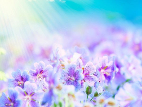 Екатерина Ситкарева