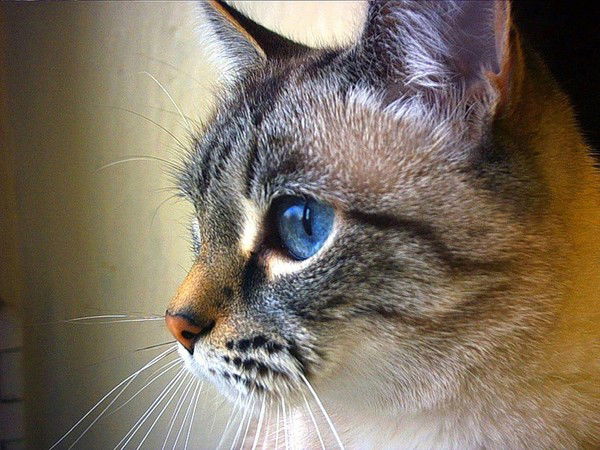 Оксана Бугасова