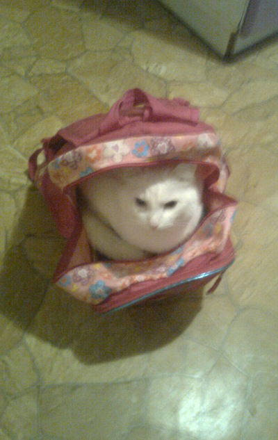 Кристина Малышева