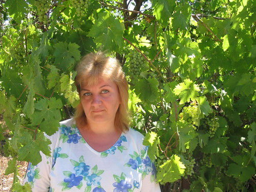 Влада Борисова