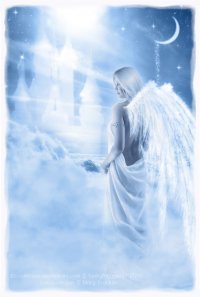 Елена Бондарь