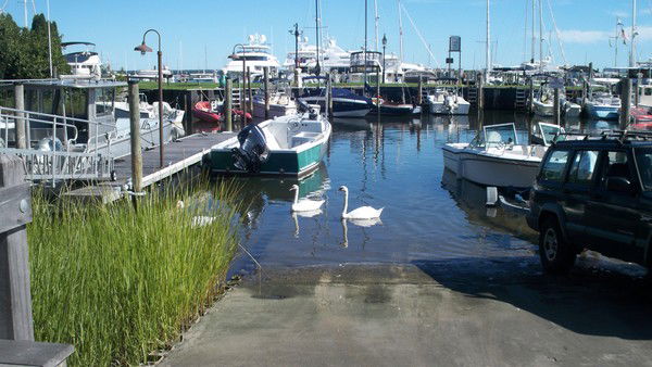 Тамара Филиппова