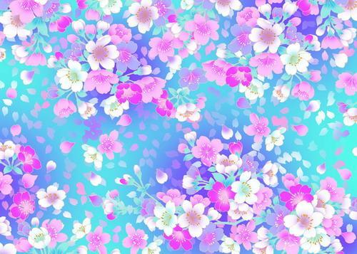 Дарья Щелчкова